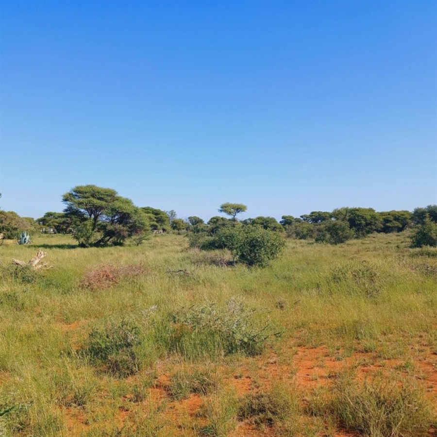 Commercial Property for Sale in Dealesville Free State